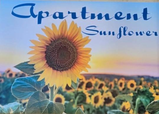 Hébergement de vacances Sunflower Palerme